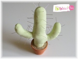 pique aiguille cactus 1